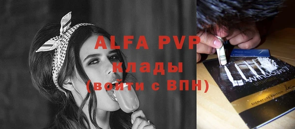 стаф Алексин