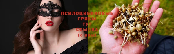 jwh Алексеевка